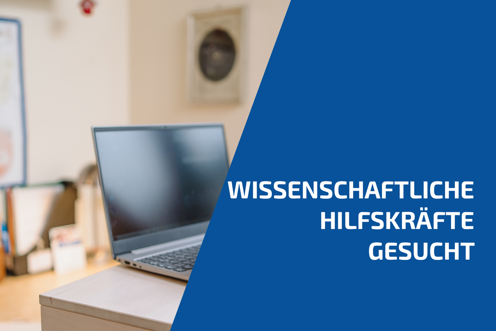 WHK gesucht